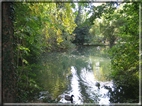 foto Parco Sebellin in Autunno